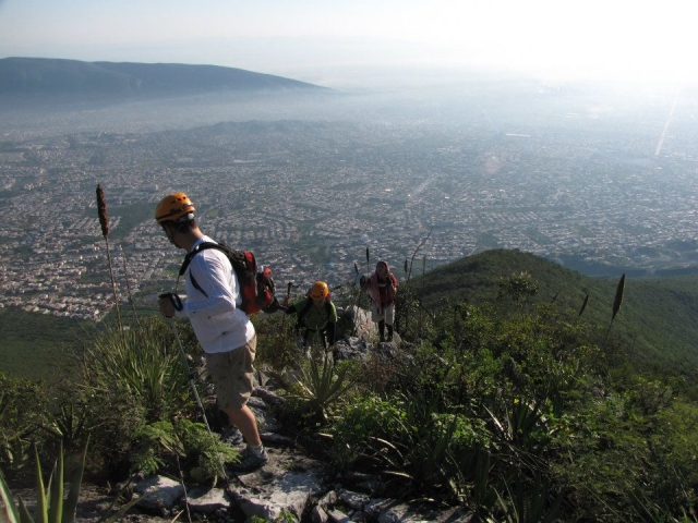 Guías especializados